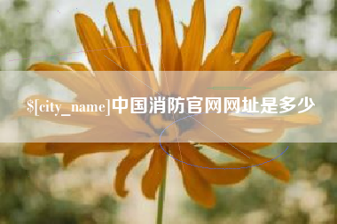 清远中国消防官网网址是多少