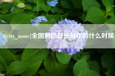 清远全国消防日是每年的什么时候