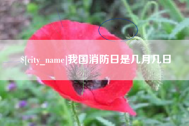 清远我国消防日是几月几日