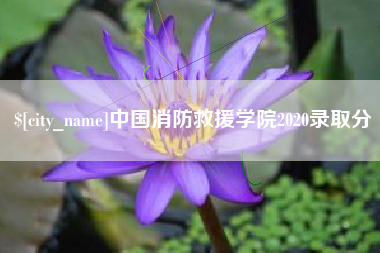 清远中国消防救援学院2020录取分