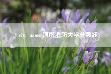 清远河南消防大学分数线