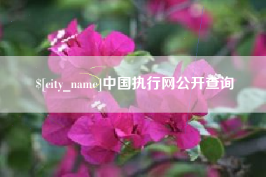 清远中国执行网公开查询