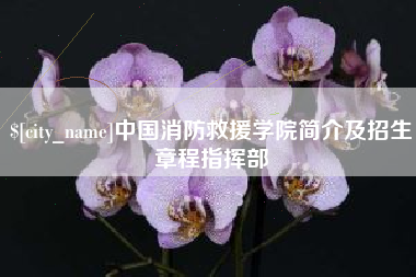 清远中国消防救援学院简介及招生章程指挥部