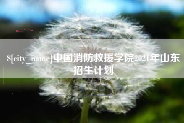 清远中国消防救援学院2021年山东招生计划