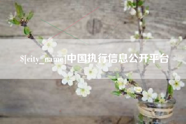 清远中国执行信息公开平台