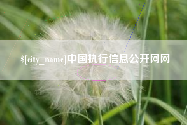 清远中国执行信息公开网网