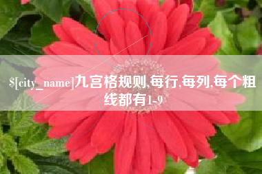 清远九宫格规则,每行,每列,每个粗线都有1-9