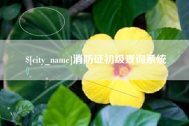 清远消防证初级查询系统