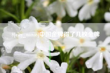 清远中国金牌得了几枚金牌