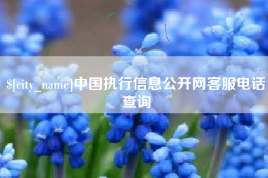 清远中国执行信息公开网客服电话查询