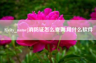 清远消防证怎么查询,用什么软件