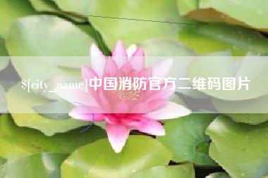 清远中国消防官方二维码图片