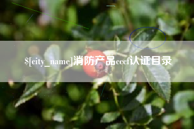 清远消防产品cccf认证目录