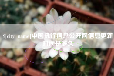 清远中国执行信息公开网信息更新时间是多久