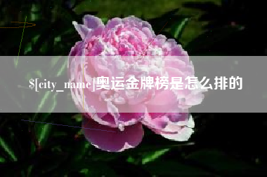 清远奥运金牌榜是怎么排的