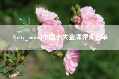 清远中国十大金牌律师名单
