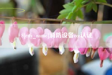 清远消防设备ccc认证