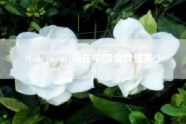 清远现在中国金牌是多少