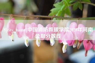 清远中国消防救援学院2020年河南录取分数线
