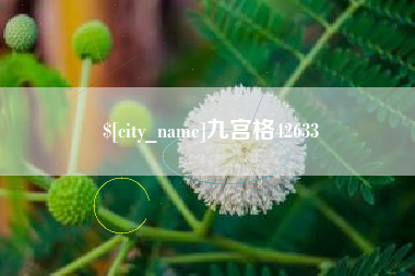 清远九宫格42633