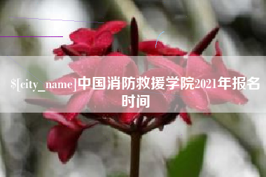 清远中国消防救援学院2021年报名时间