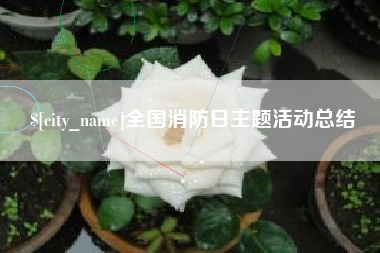 清远全国消防日主题活动总结