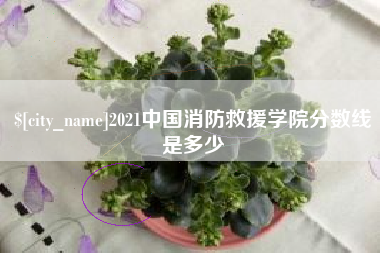 清远2021中国消防救援学院分数线是多少