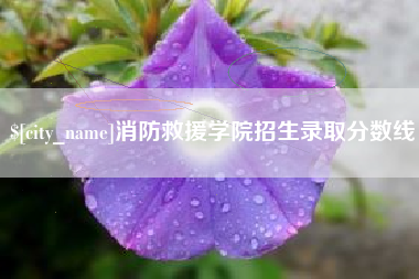 清远消防救援学院招生录取分数线