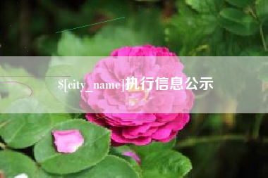 清远执行信息公示