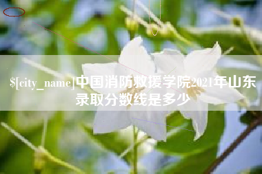 清远中国消防救援学院2021年山东录取分数线是多少