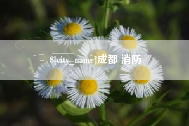 清远成都 消防