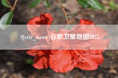 清远谷歌卫星地图2025