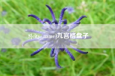 清远九宫格盘子