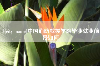 清远中国消防救援学院毕业就业前景如何