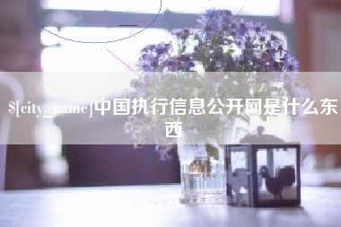 清远中国执行信息公开网是什么东西