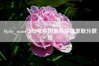 清远2021年中国消防学院录取分数线