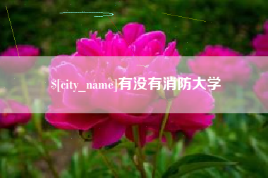 清远有没有消防大学