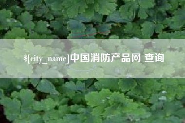 清远中国消防产品网 查询