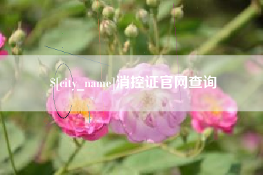 清远消控证官网查询