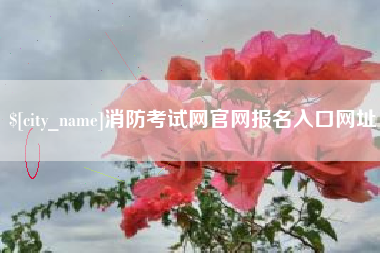 清远消防考试网官网报名入口网址