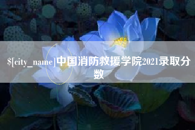 清远中国消防救援学院2021录取分数