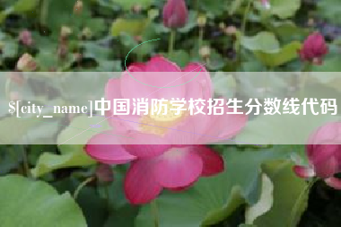 清远中国消防学校招生分数线代码