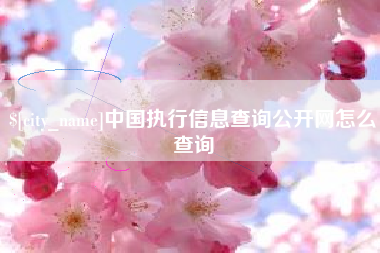 清远中国执行信息查询公开网怎么查询