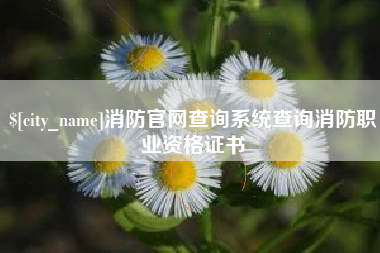清远消防官网查询系统查询消防职业资格证书