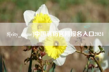清远中国消防官网报名入口2024