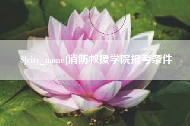 清远消防救援学院报考条件