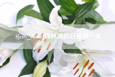 清远森林消防日是哪一天