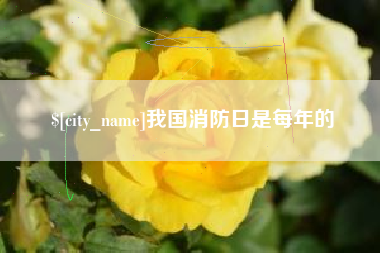 清远我国消防日是每年的