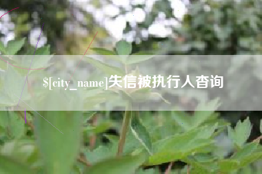 清远失信被执行人杳询