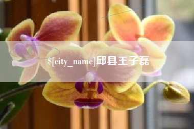 清远邱县王子磊